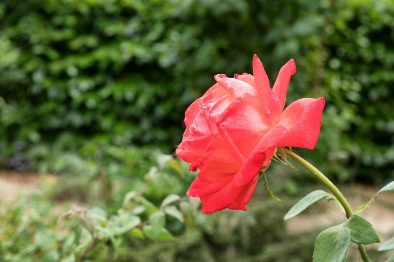 Dolce Casetta 파엔차 외부 사진